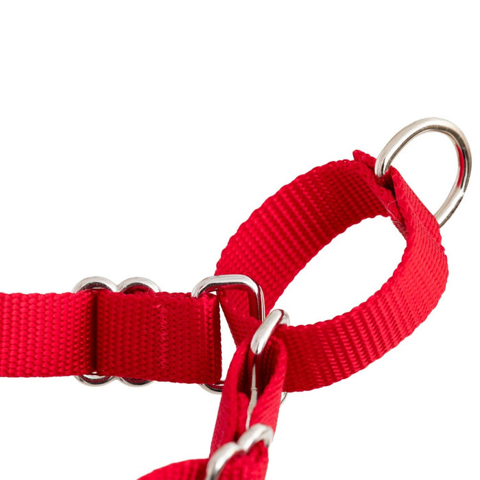 PetSafe Easy Walk Adjustable Dog Harness - M - Red