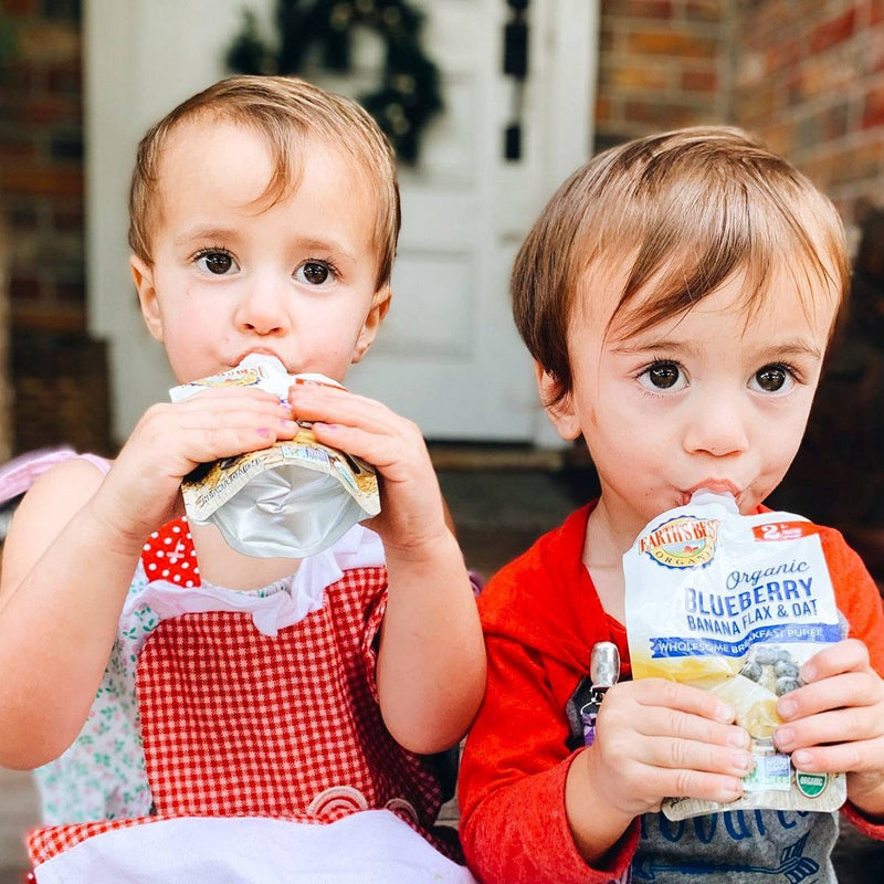 Earth's Best Organic Blueberry Banana Flax & Oat Baby Food Pouch - 3.5oz