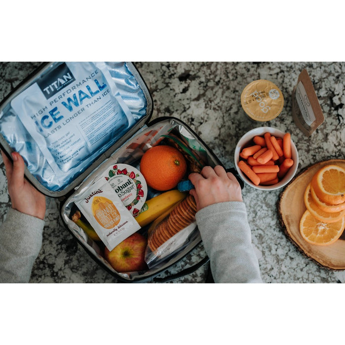 Arctic Zone Fridge Cold EVA Molded Lunch Box - Black/Silver