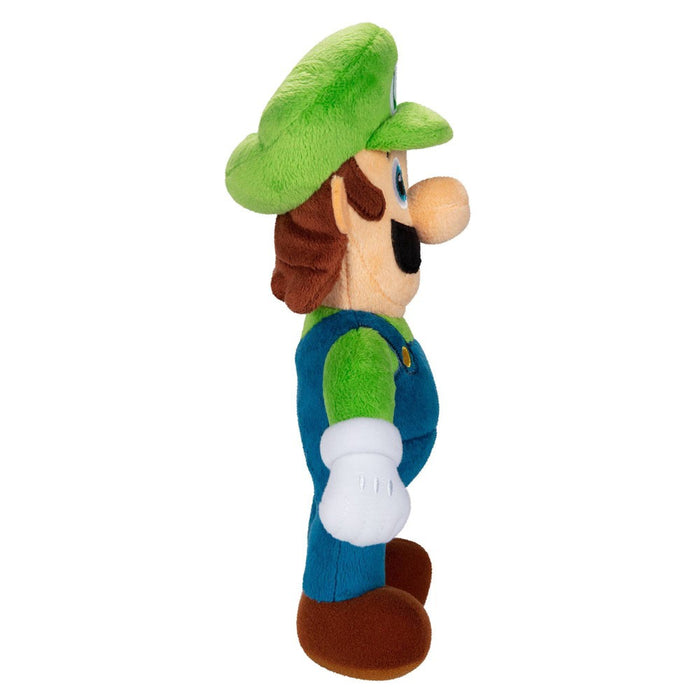Super Mario Luigi