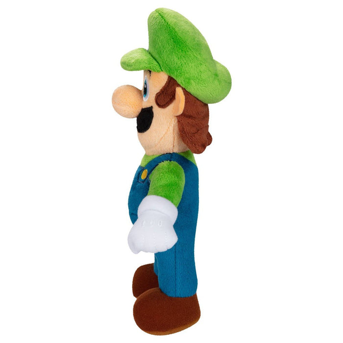 Super Mario Luigi