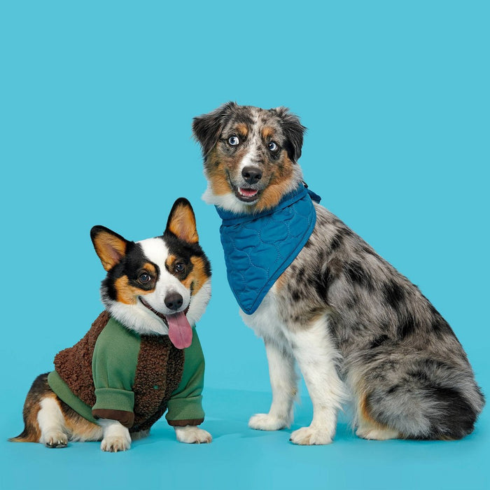 BARK Home Dapper Dog Bandana - S/M - Teal Blue