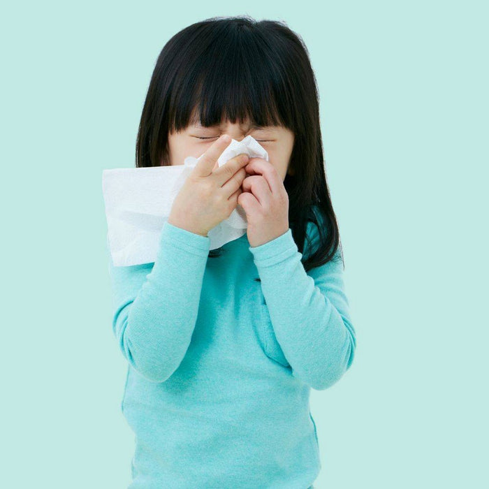 Bim Bam Boo Bamboo Facial Tissue - 115ct
