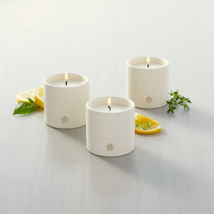 9oz Basil/Lemon/Thyme Ceramic Kitchen Candle Set - Hearth & Hand with Magnolia