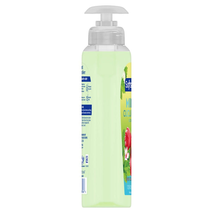 Softsoap Limited Edition Handwash Pump - Mint/Cucumber - Floral Scent - 11.25 fl oz