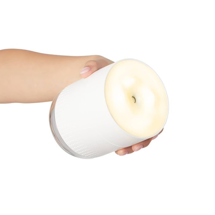 Plum Portable Derma Beauty Humidifier Tool