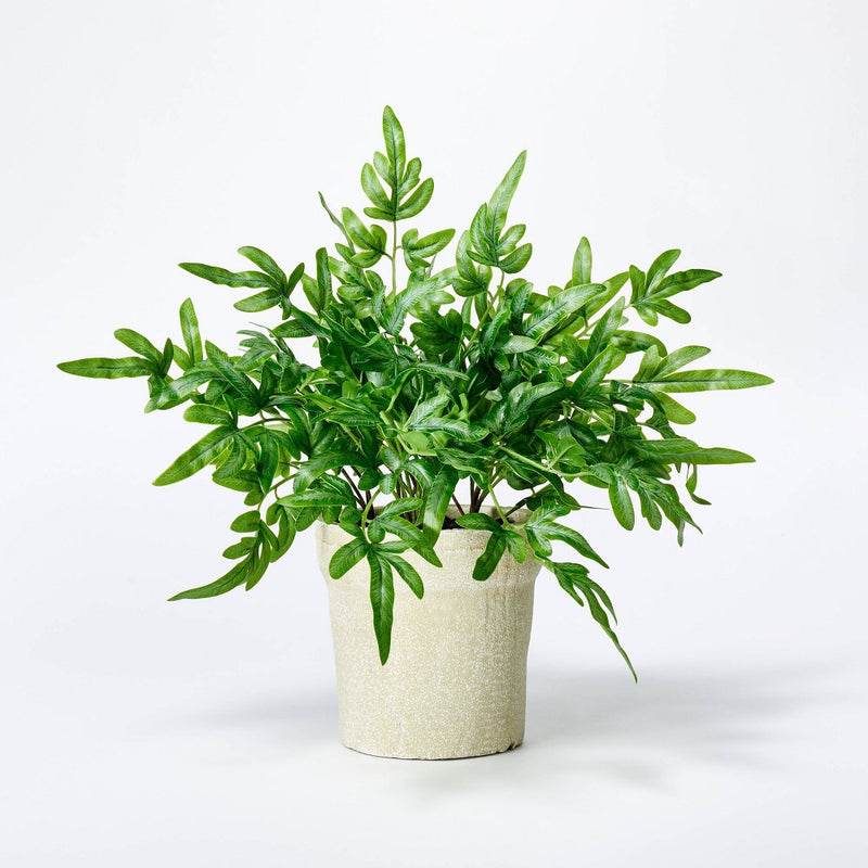 Medium Ribbon Fern Leaf in Pot - Threshold designed with Studio McGee