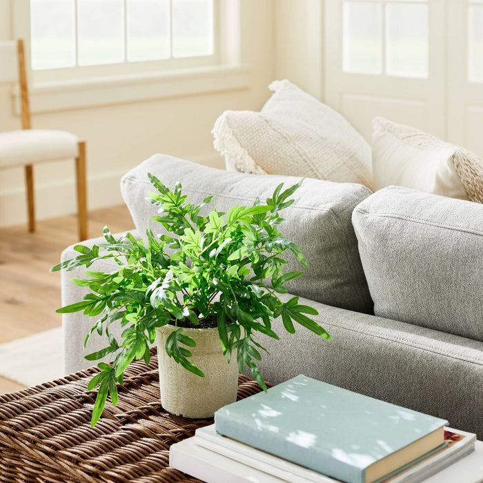 Medium Ribbon Fern Leaf in Pot - Threshold designed with Studio McGee