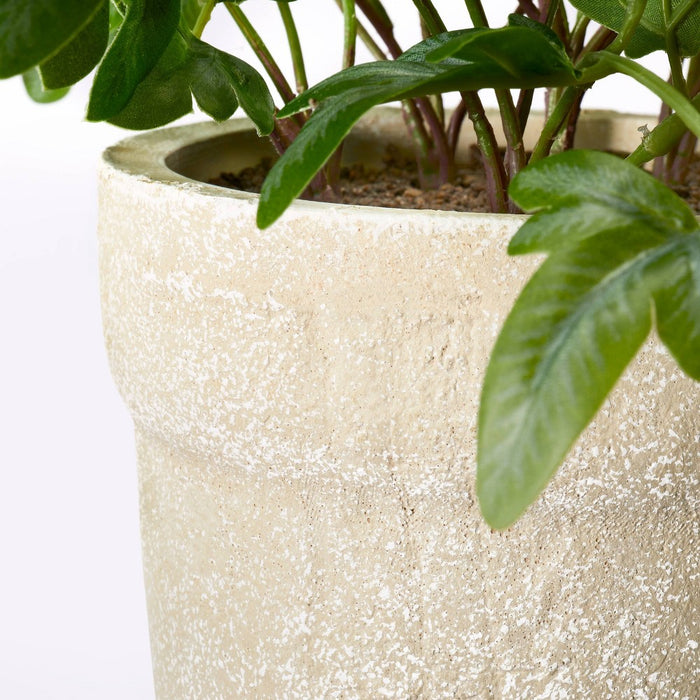 Medium Ribbon Fern Leaf in Pot - Threshold designed with Studio McGee