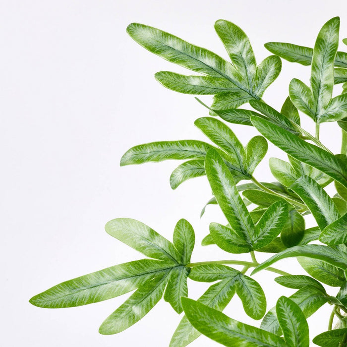 Medium Ribbon Fern Leaf in Pot - Threshold designed with Studio McGee