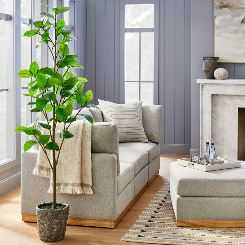 Banyan Leaf Potted Tree - Threshold designed with Studio McGee (LOCAL PICKUP ONLY)