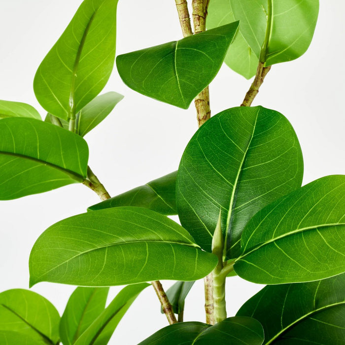 Banyan Leaf Potted Tree - Threshold designed with Studio McGee (LOCAL PICKUP ONLY)