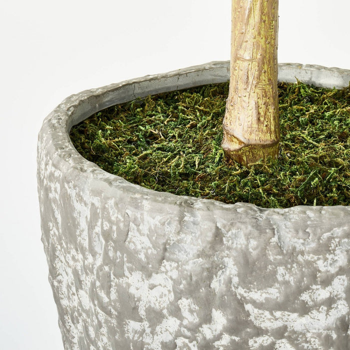 Banyan Leaf Potted Tree - Threshold designed with Studio McGee (LOCAL PICKUP ONLY)