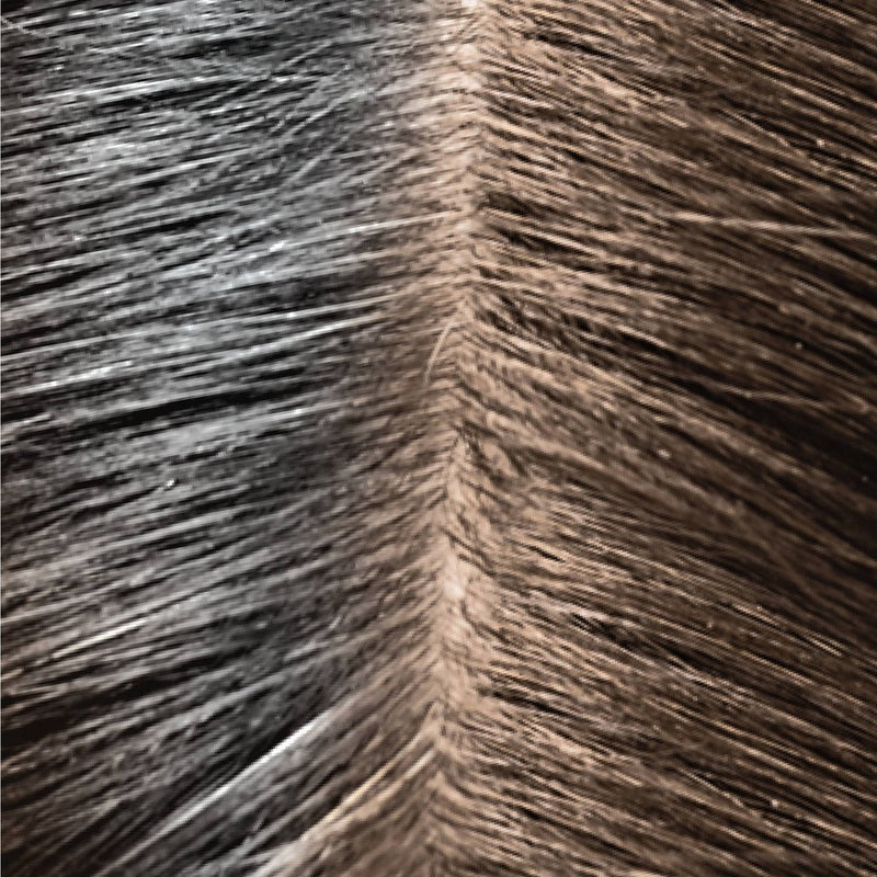 No Gray Quick Fix Color Touch-up Systems - Brown - 0.5 fl oz