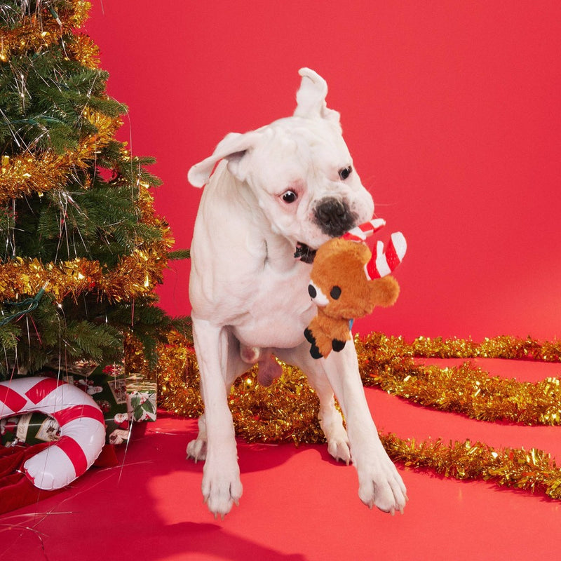 BARK Puppermint Prancer Dog Toy