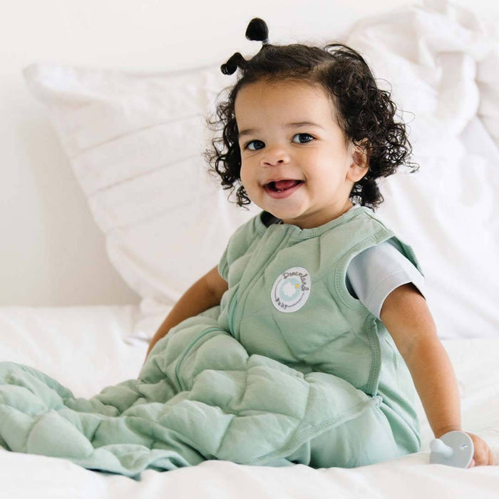 Dreamland Baby Weighted Sleep Sack Wearable Blanket - Green - L
