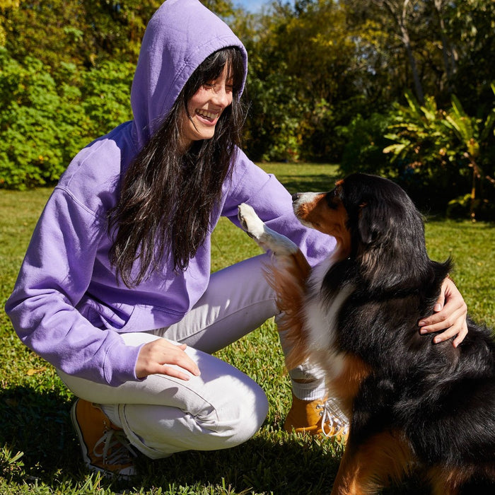 Hanes Premium 6 Pack Women's Cushioned Crew Socks - White 5-9