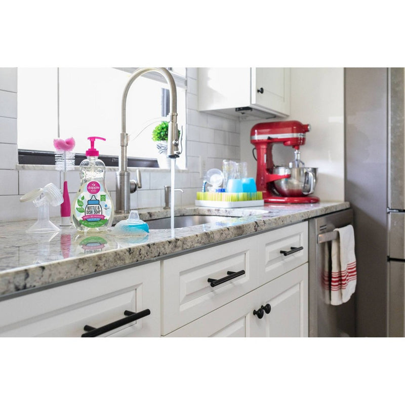 Dapple Bottle and Dish Soap - 16.9 fl oz