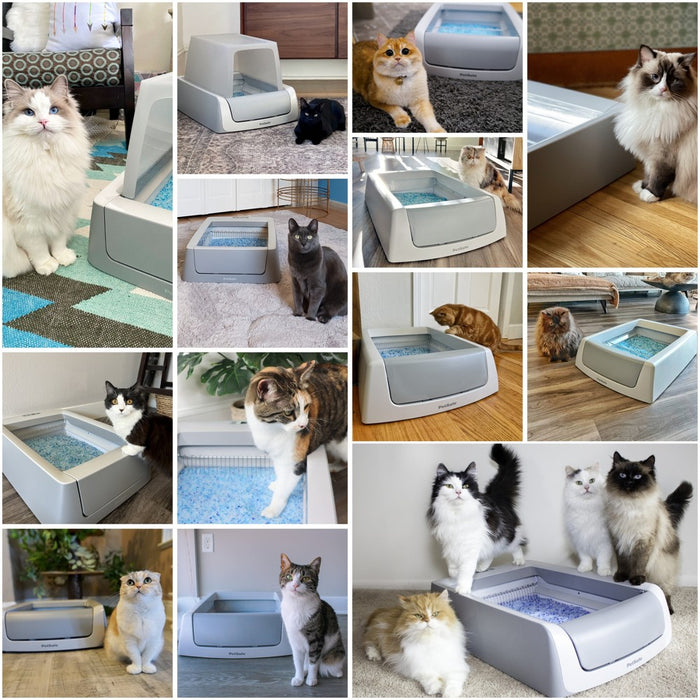 PetSafe ScoopFree Self-Cleaning Crystal Cat Litter Box - White (LOCAL PICKUP ONLY)