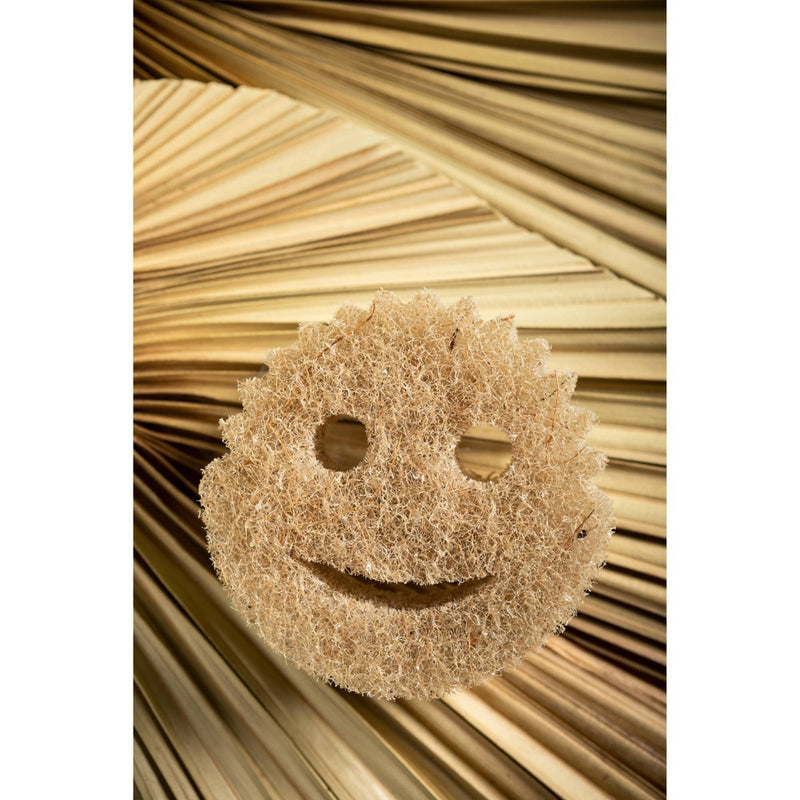 Scrub Daddy Eco Mesh Scrubber - 2ct