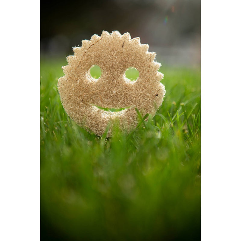 Scrub Daddy Eco Mesh Scrubber - 2ct