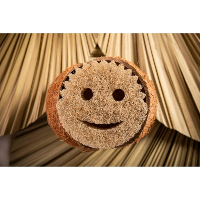Scrub Daddy Eco Mesh Scrubber - 2ct