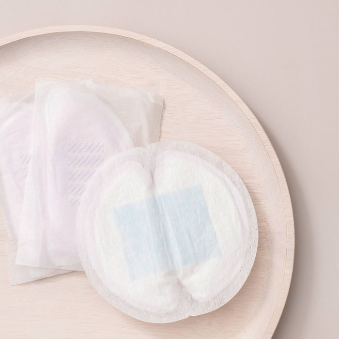 Lansinoh Stay Dry Disposable Nursing Pads - 60ct