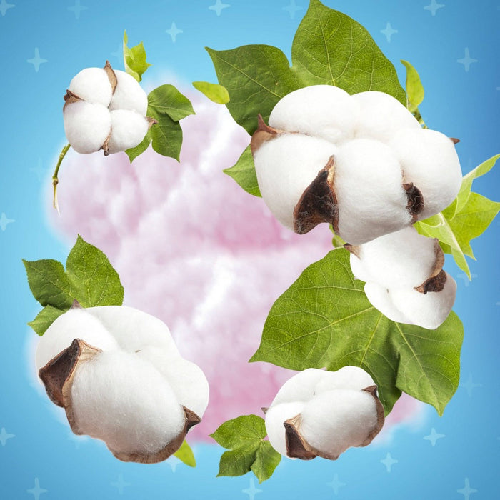 Glade PlugIns Scented Oil Air Freshener Refills - Cotton Cloud Dream - 3.35oz/5pk