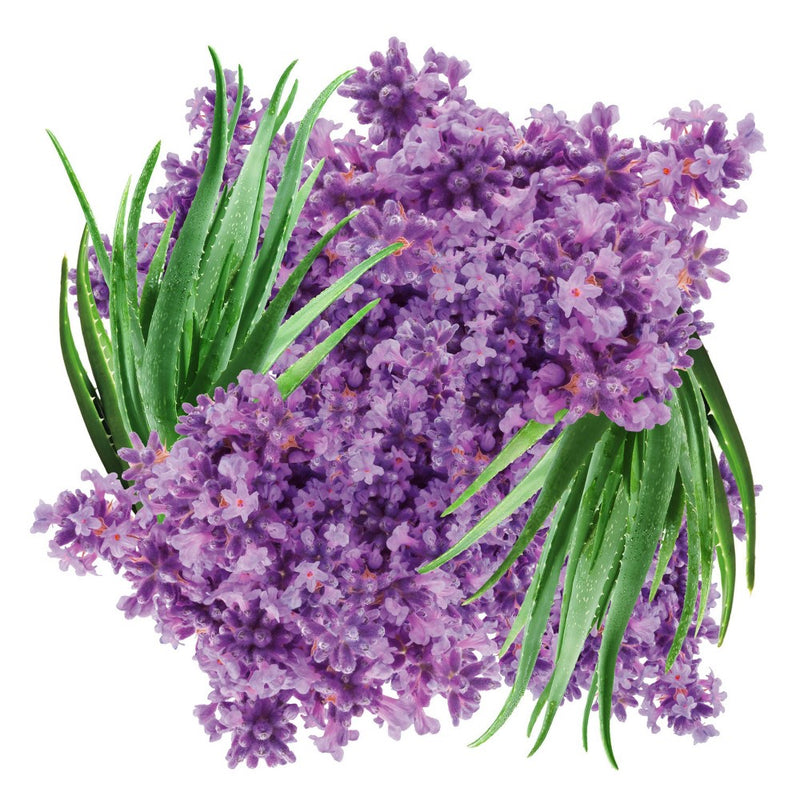 Glade PlugIns Scented Oil Air Freshener Refills - Tranquil Lavender & Aloe - 3.32 fl oz/2pk