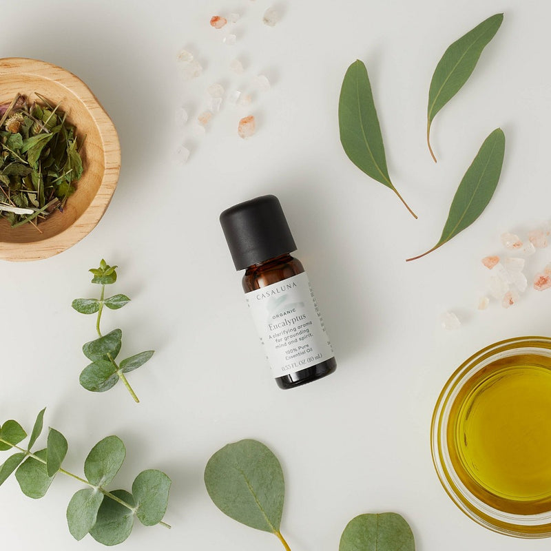 10ml Organic Eucalyptus Essential Oil - Casaluna