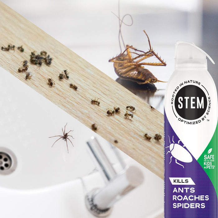 STEM Ant-Roach-Spider Aerosol - 10oz