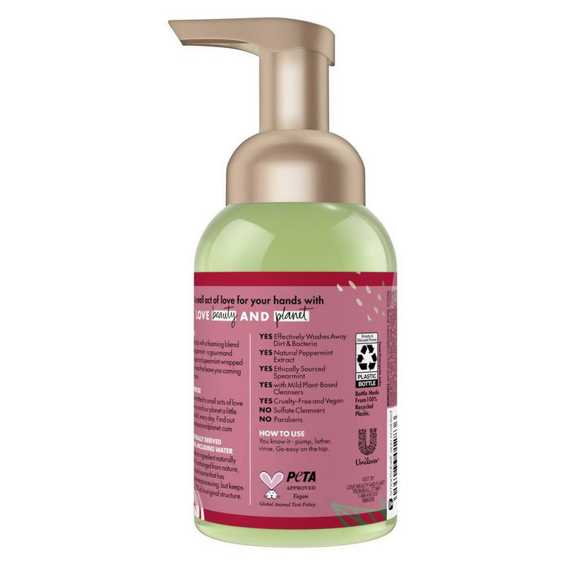 Beloved Peppermint & Sugar Cane Foaming Hand Wash - 8 fl oz
