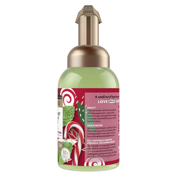 Beloved Peppermint & Sugar Cane Foaming Hand Wash - 8 fl oz