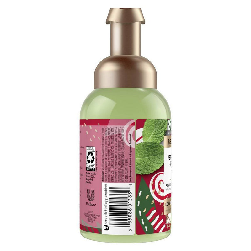 Beloved Peppermint & Sugar Cane Foaming Hand Wash - 8 fl oz