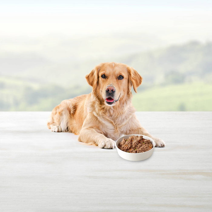 Blue Buffalo Homestyle Recipe Natural Adult Wet Dog Food with Chicken Flavor - 12.5oz