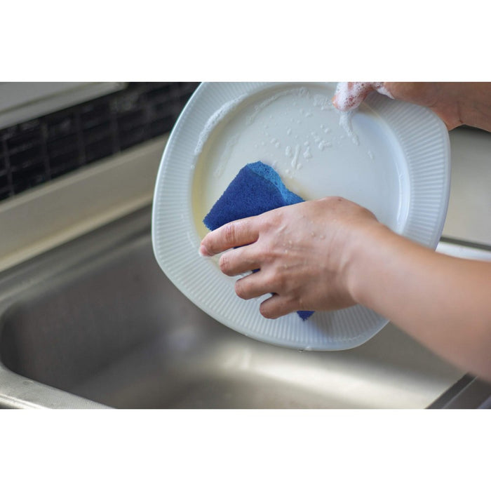 Dawn Non-Scratch Sponge - 2ct