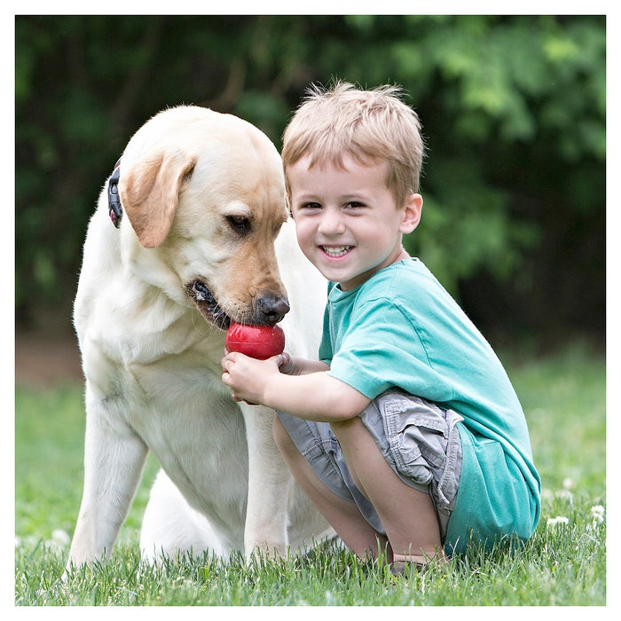 KONG Refillable Classic Chew Dog Toy - M