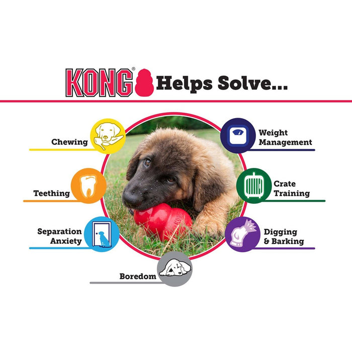 KONG Refillable Classic Chew Dog Toy - M