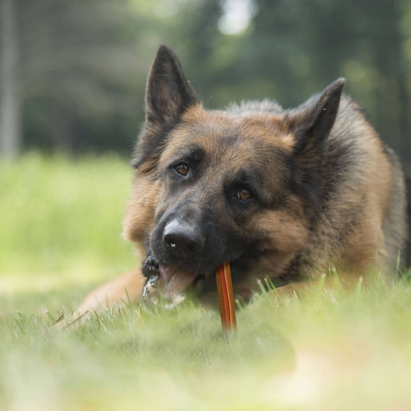 Cadet Choice Chews Peanut Butter Rolls Dog Treats - 10ct