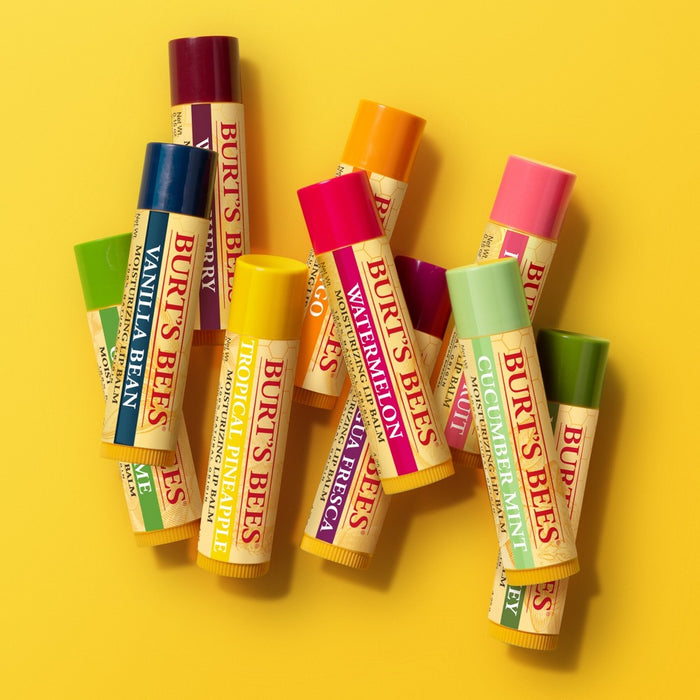 Burt's Bees Vanilla Bean Lip Balm Blister Box - 0.15oz