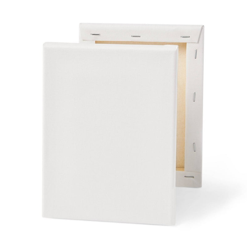 6"x8" Stretched Canvas White - Mondo Llama