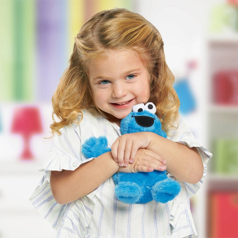 Sesame Street Friends Cookie Monster Plush