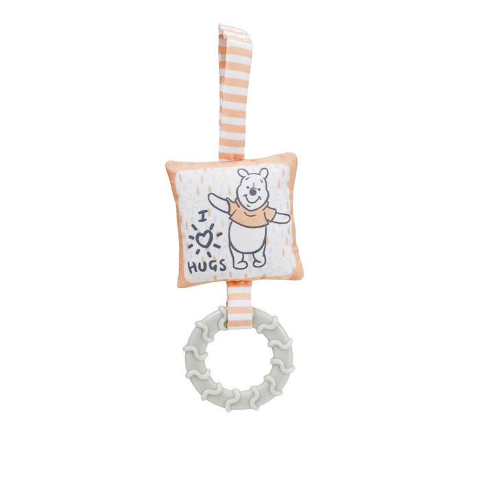 Disney Baby Pooh Activity Square Gift Set - 2ct