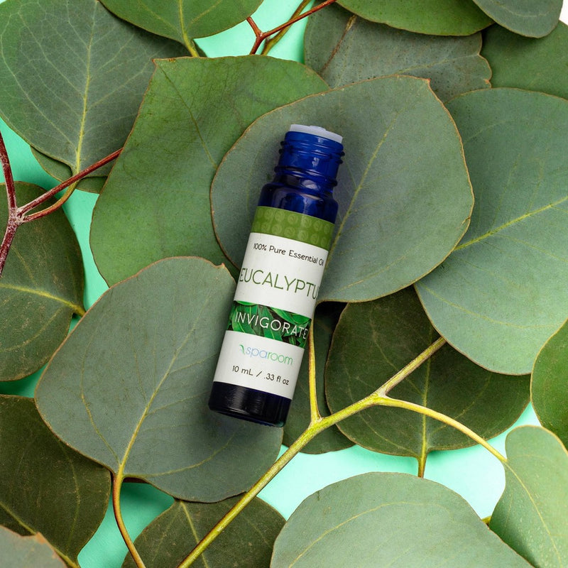 Eucalyptus Essential Oil10ml - SpaRoom