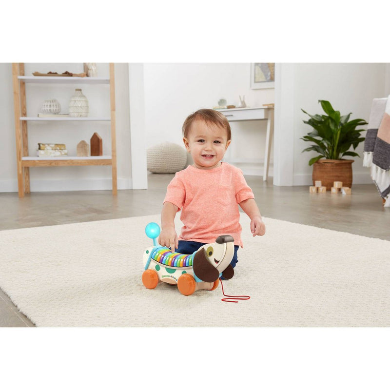 LeapFrog Wooden AlphaPup