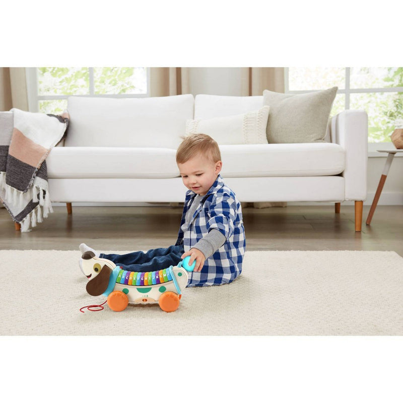 LeapFrog Wooden AlphaPup