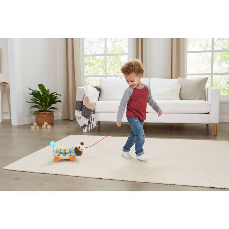 LeapFrog Wooden AlphaPup