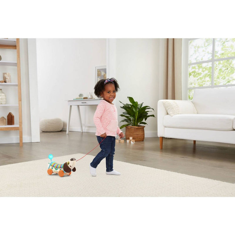LeapFrog Wooden AlphaPup