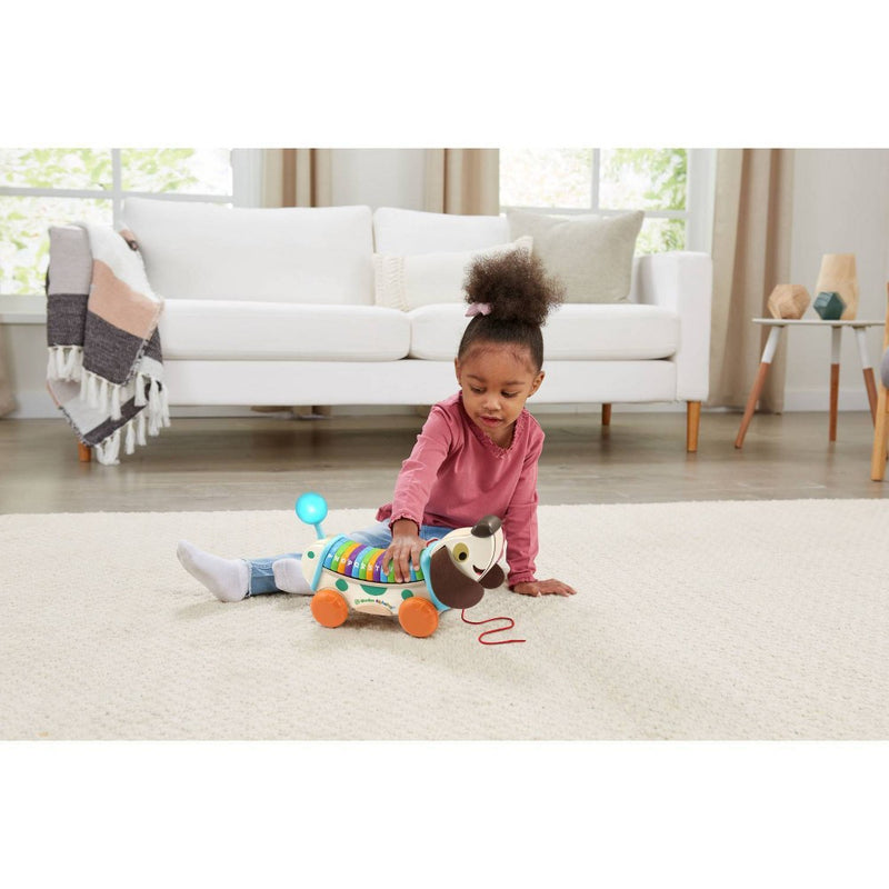 LeapFrog Wooden AlphaPup