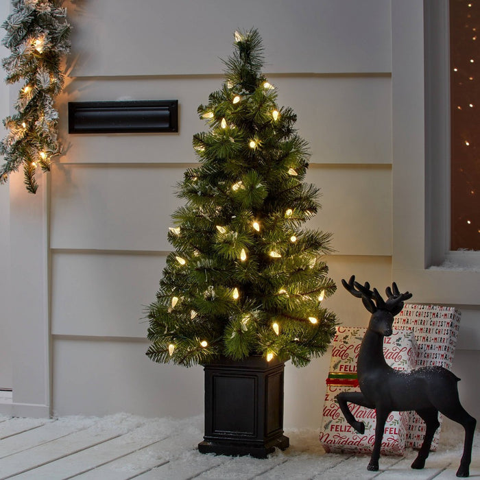 60ct LED C6 Faceted Christmas String Lights Warm White with Green Wire - Wondershop